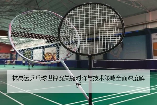 林高远乒乓球世锦赛关键对阵与技术策略全面深度解析
