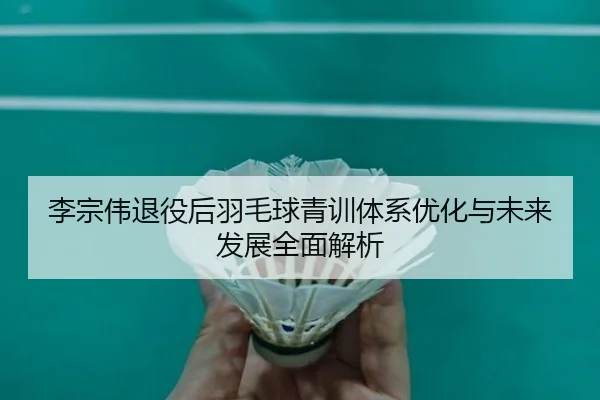 李宗伟退役后羽毛球青训体系优化与未来发展全面解析